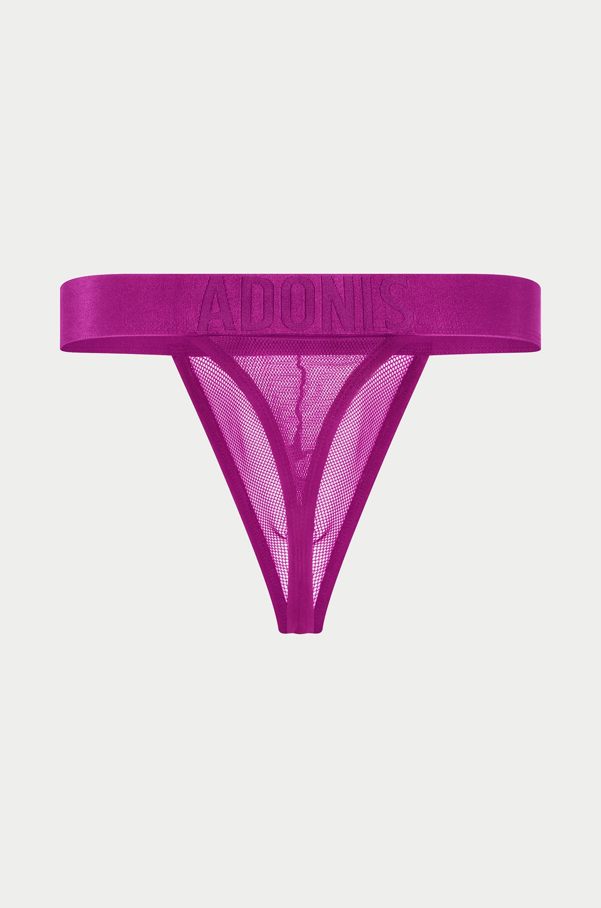 Luxe Mesh Purple Persuasion Thong