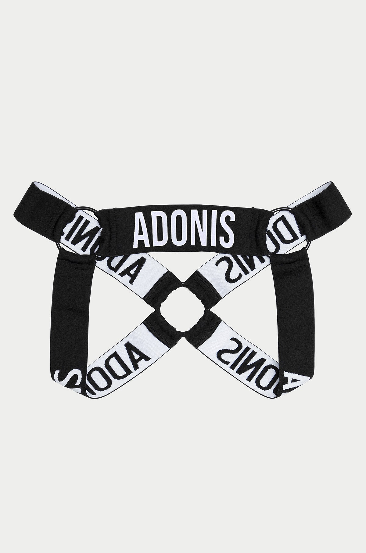 Ring Black Harness