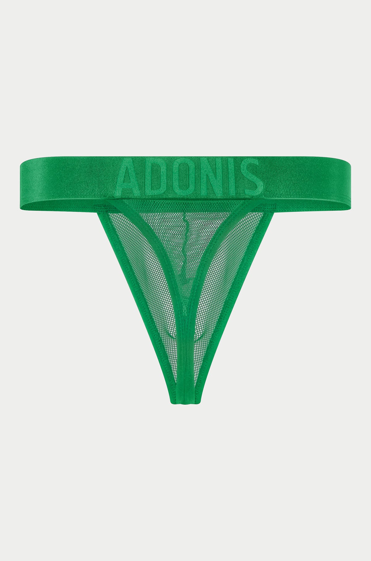 Luxe Mesh Green Thong